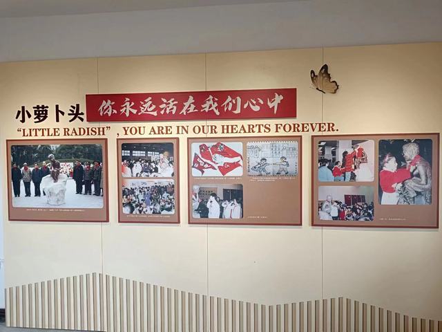 小萝卜头